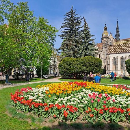 Lux 114 Apartment Koszyce Zewnętrze zdjęcie